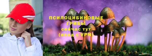 прущий лед Нея