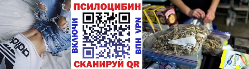Псилоцибиновые грибы Psilocybine cubensis  Кодинск 